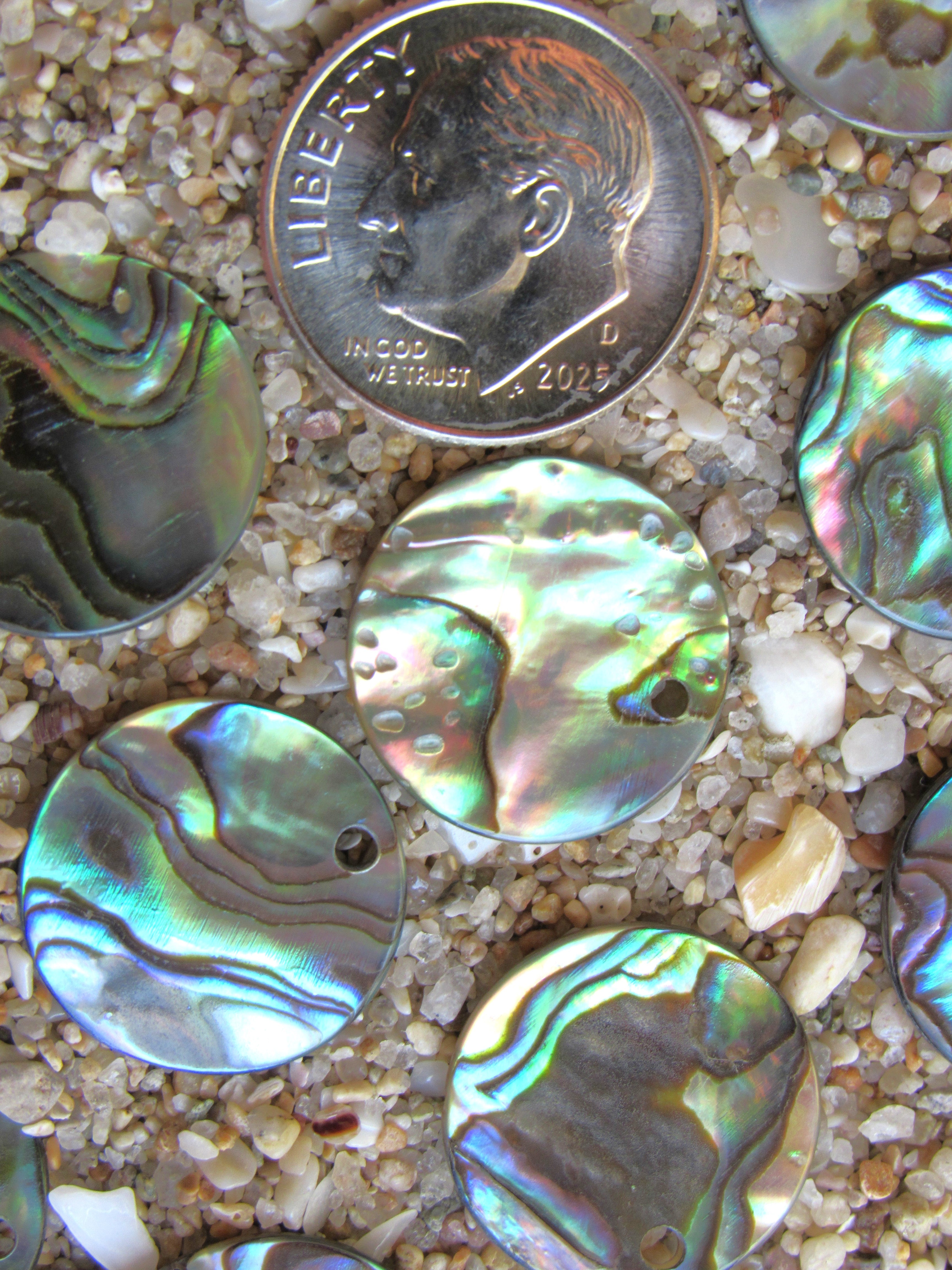 Natural Abalone Round Pendants - 15mm Flat - Top Drilled - 1.2mm Hole - Shell Findings