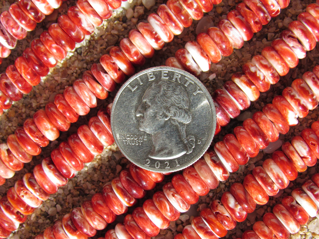 Rare Red Spiny Oyster Shell Beads 8mm Rondelle | Jewelry Making Supplies