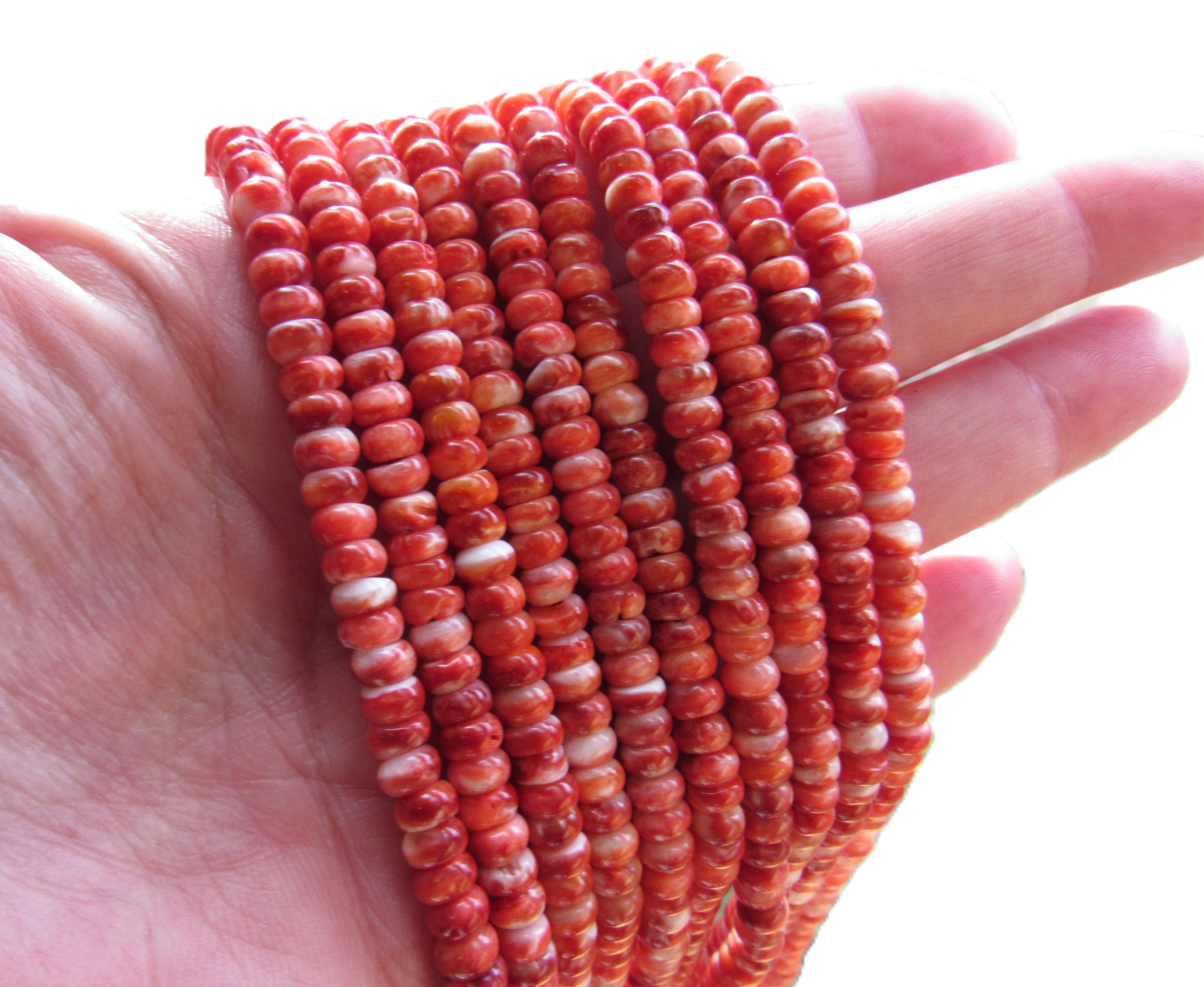 BEAD SUPPLY rare red Spiny Oyster 5mm Natural SHELL quality beads for making jewelry