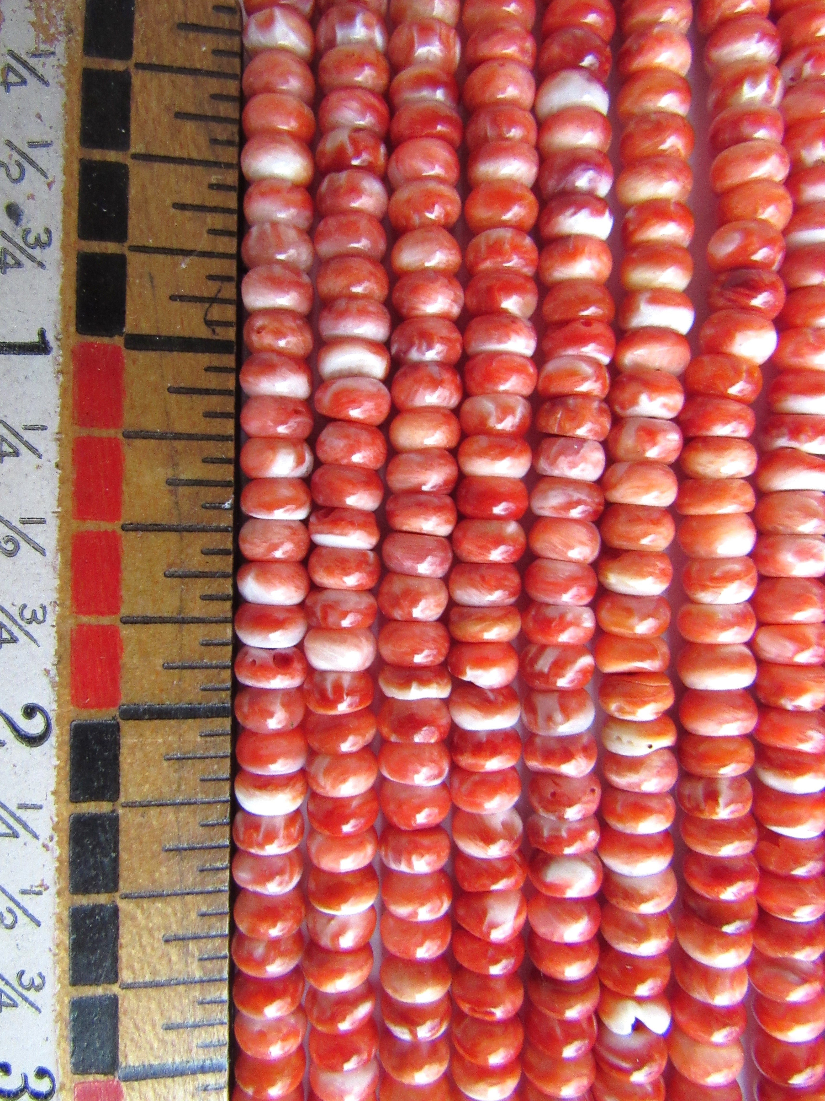 BEAD SUPPLY rare red Spiny Oyster 5mm Natural SHELL quality beads for making jewelry