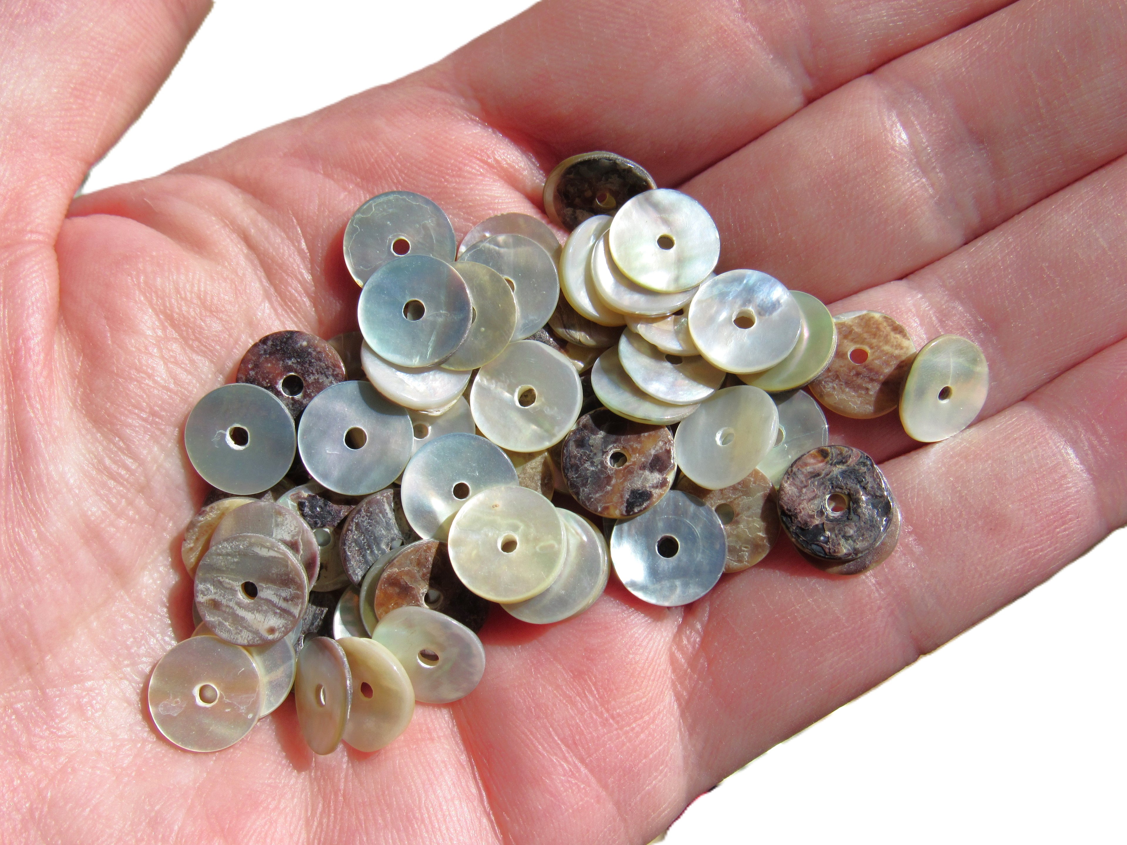 Akoya Oyster Shell Coin Beads - 10mm - Mother of Pearl Iridescent - Flat Round Disc