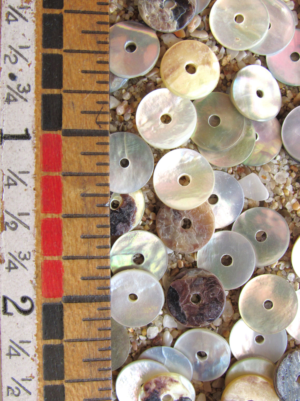 Akoya Oyster Shell Coin Beads - 10mm - Mother of Pearl Iridescent - Flat Round Disc