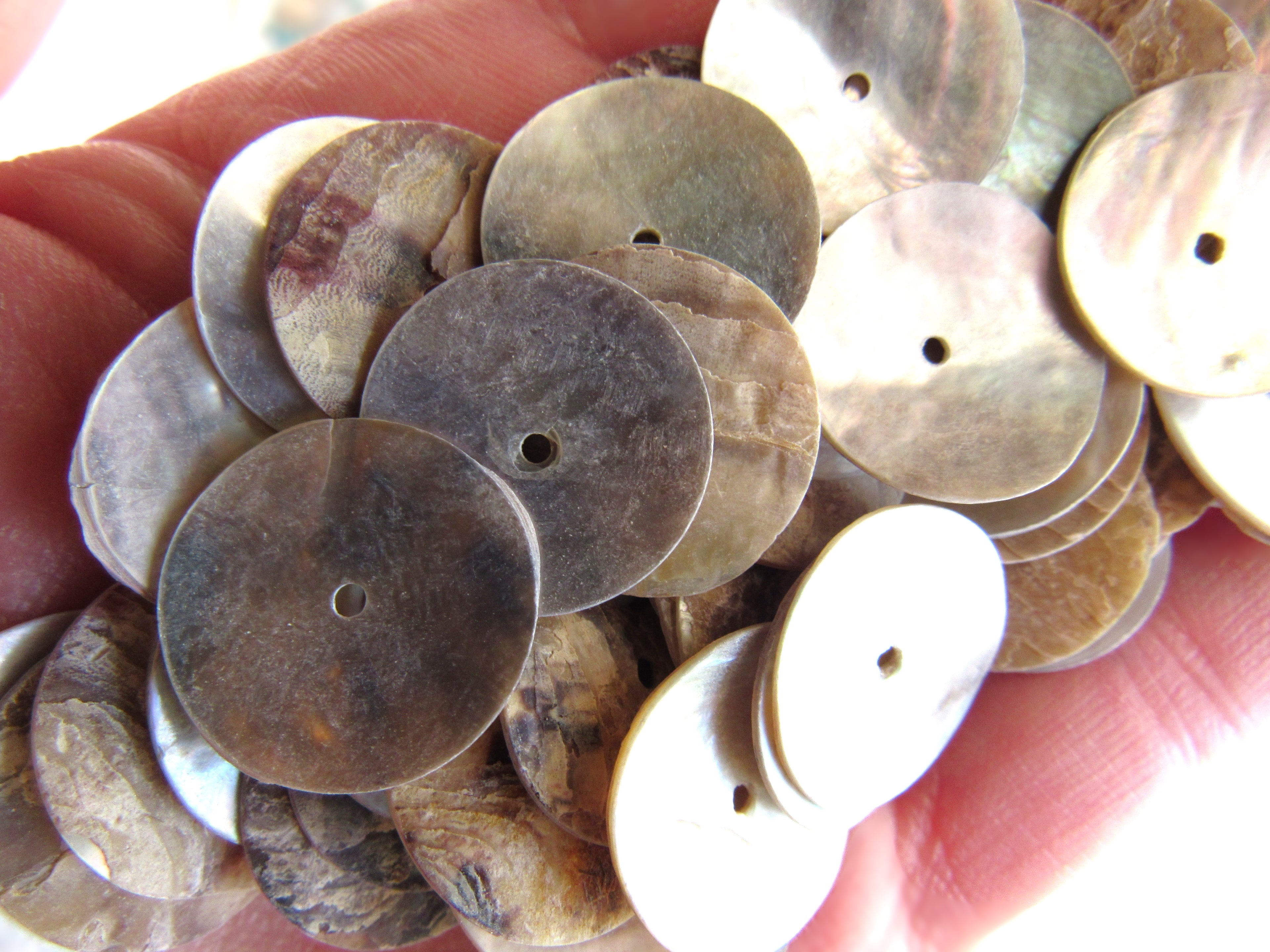 Akoya Oyster Shell Coin Beads - 17.5mm - Mother of Pearl Iridescent - Flat Round Disc Bead Supply