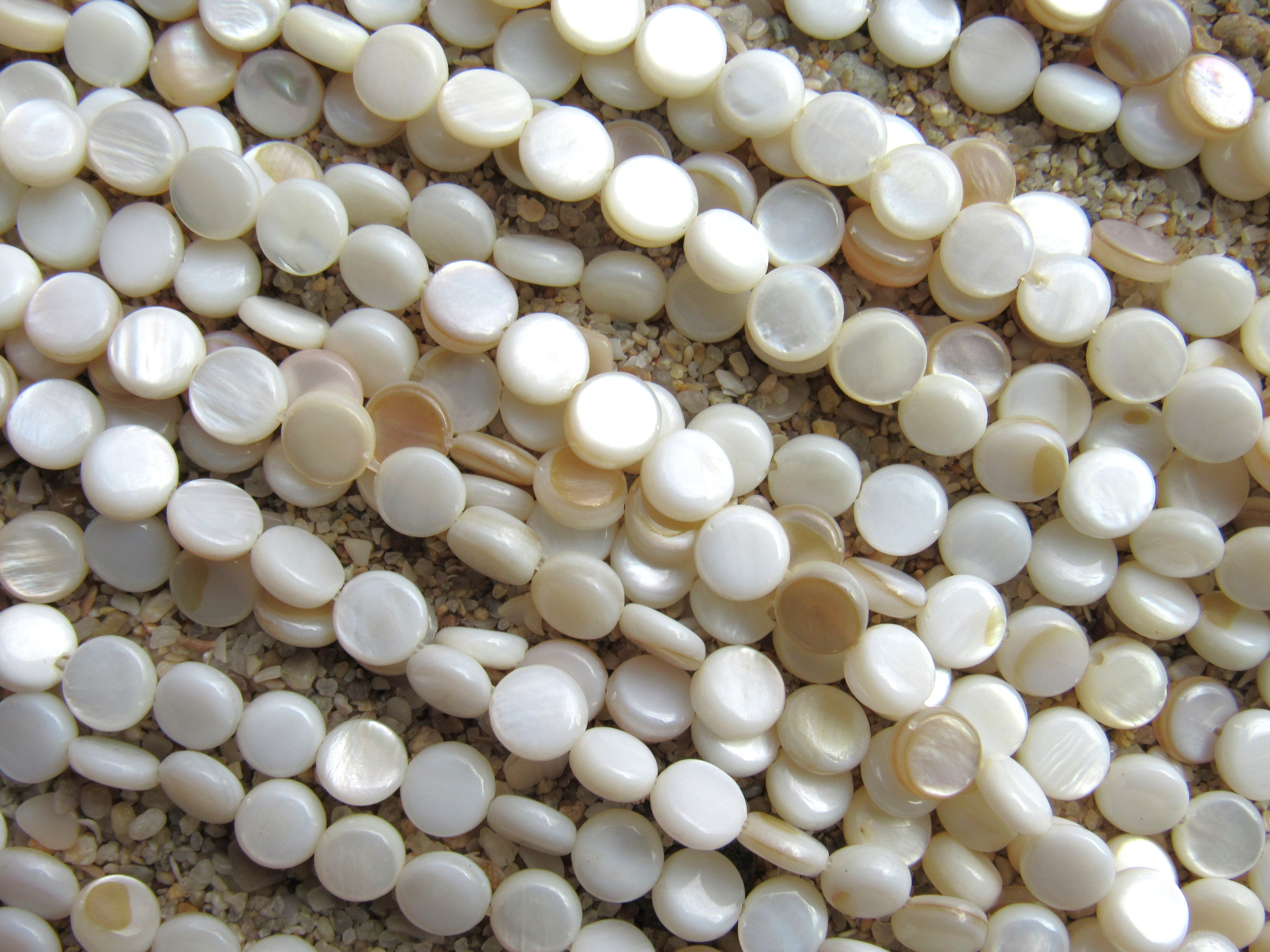 Natural White Shell Coin Beads 6mm | Flat Round