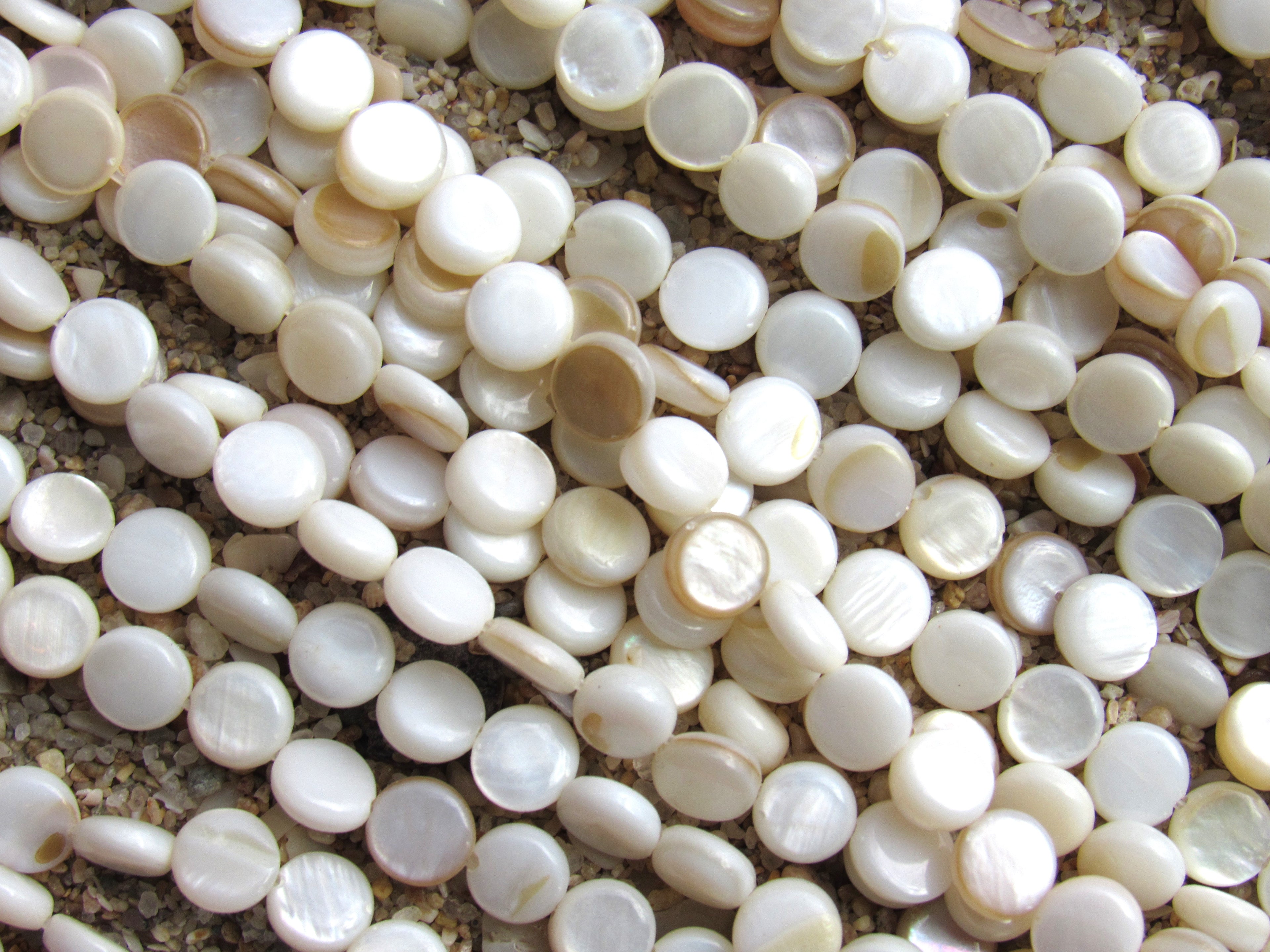 Natural White Shell Coin Beads 6mm | Flat Round