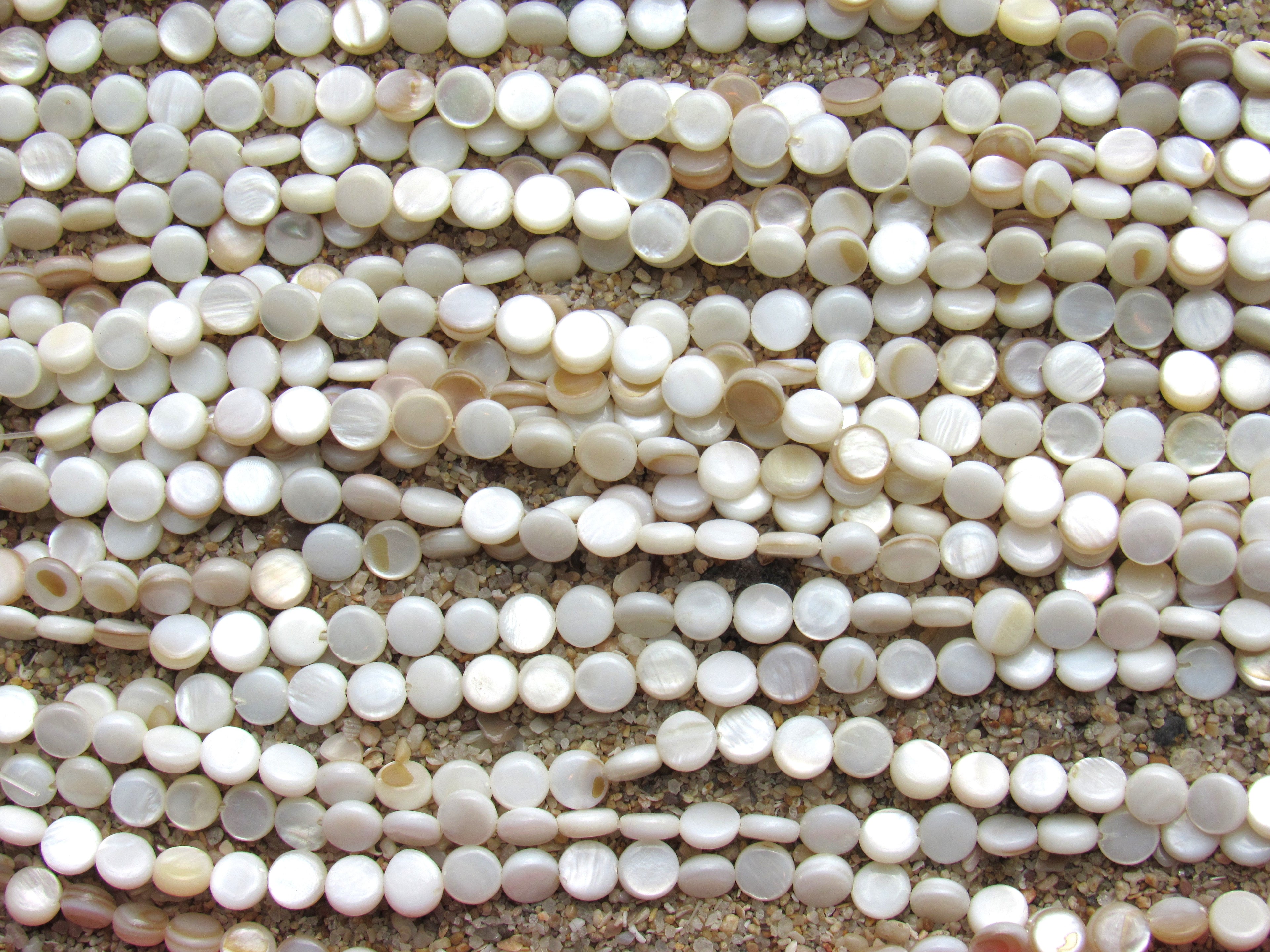Natural White Shell Coin Beads 6mm | Flat Round