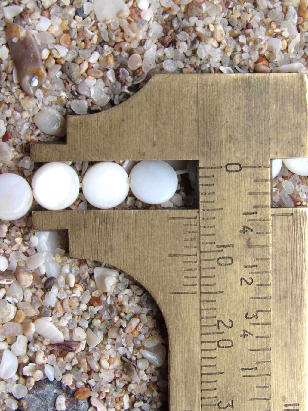 Natural White Shell Coin Beads 6mm | Flat Round