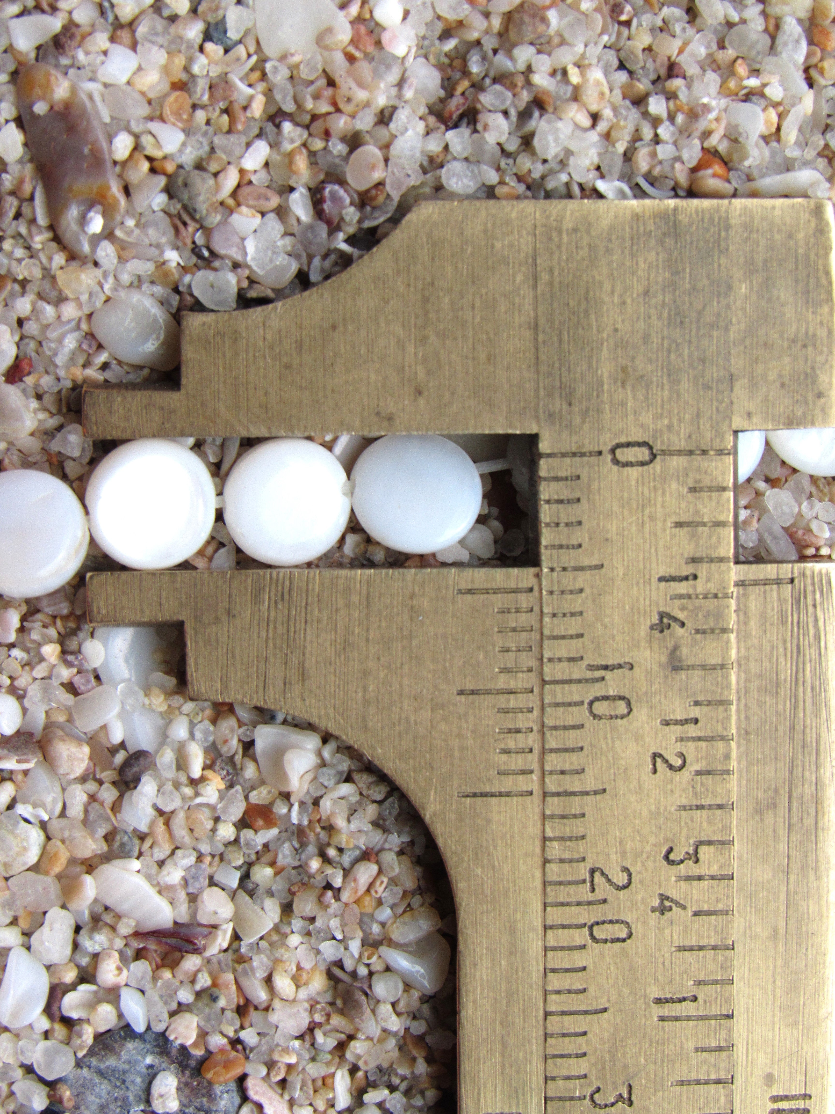 Natural White Shell Coin Beads 6mm | Flat Round